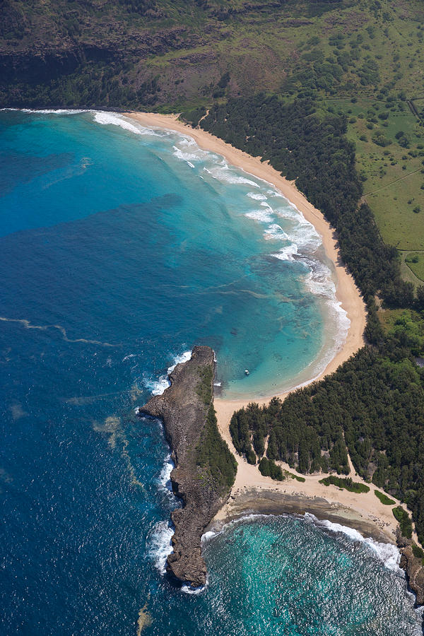 Ah Kauai #2 Photograph by Steven Lapkin