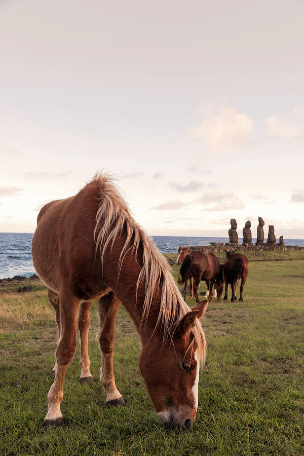Ahu Taha In Easter Island #1 Photograph by Luis Davilla