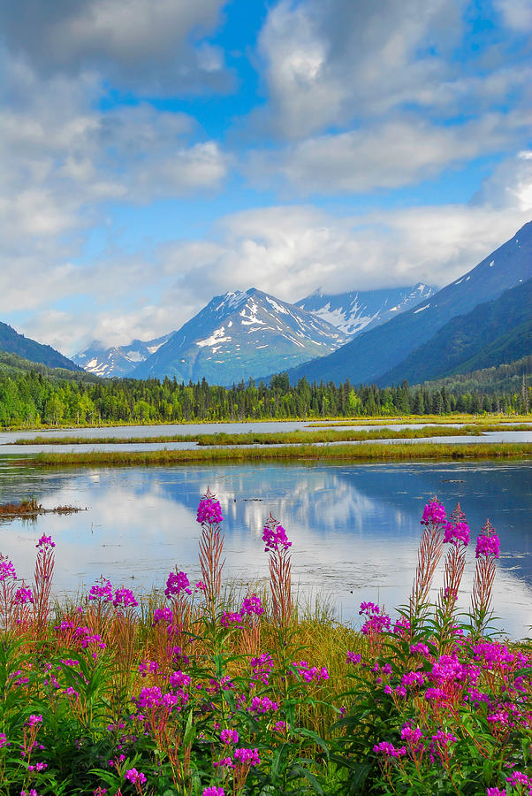 Alaskan Horizons #1 Photograph by Patrick Wolf