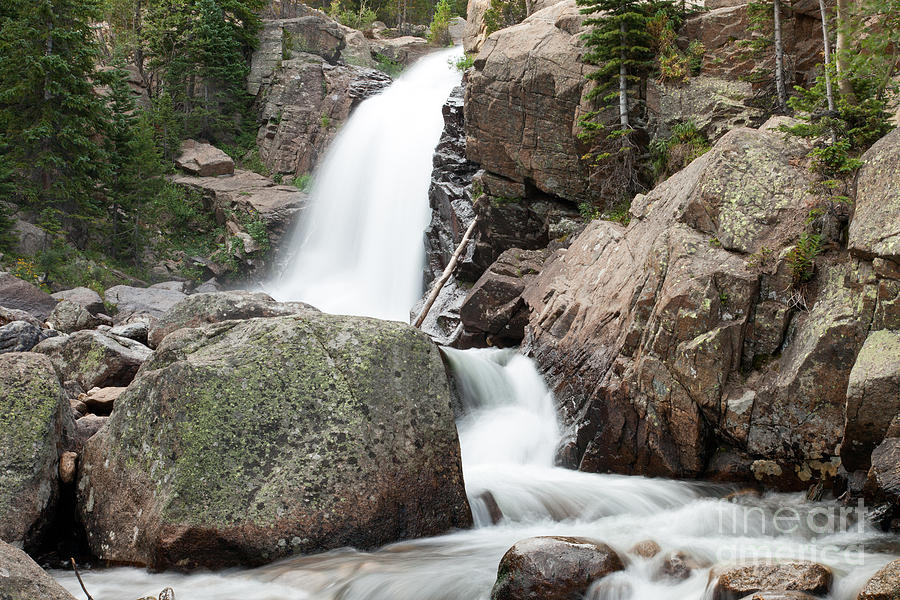 Alberta Falls on Glacier Creek in Rocky Mountain National Park #1 Photograph by Fred Stearns