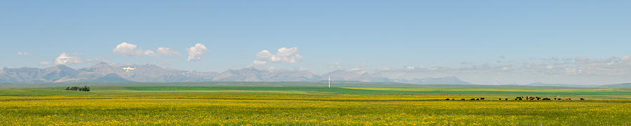 Landscape Photograph - Alberta Farmland #1 by Brandon Smith