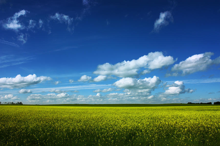 Farm Photograph - Alberta Skies #1 by Larysa  Luciw