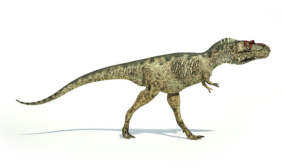 albertosaurus dinosaur