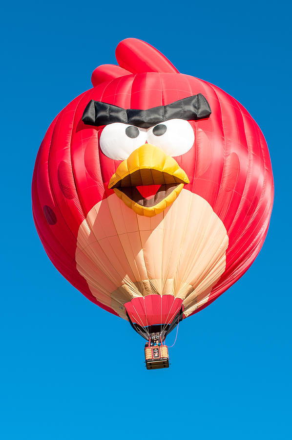 Albuquerque Balloon Fiesta 11 Photograph by Lou  Novick