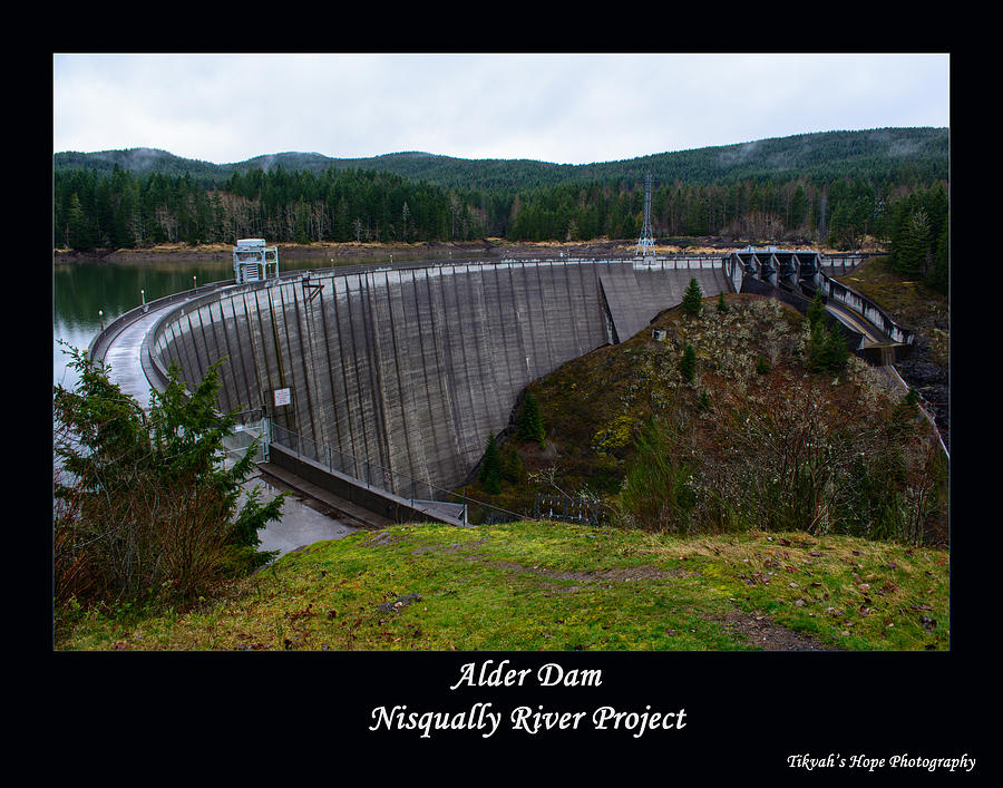 Alder Dam Photograph by Tikvahs Hope