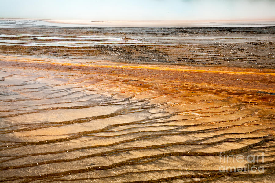 Algae Patterns at the Grand Prismatic Spring in Midway Geyser Basin #1 Photograph by Fred Stearns