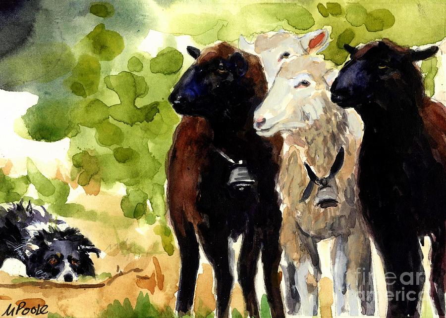 Sheep Painting - All Eyes #1 by Molly Poole