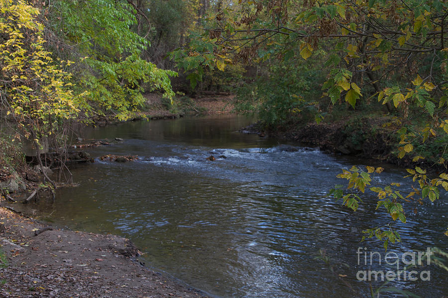 Allens Creek #1 Photograph by William Norton