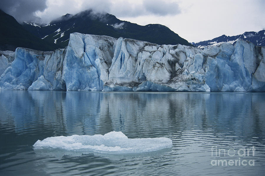 Alsek Glacier #1 Photograph by Mark Newman