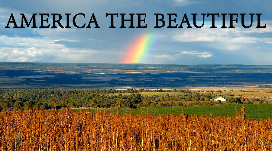 America the Beautiful #1 Photograph by David Lee Thompson