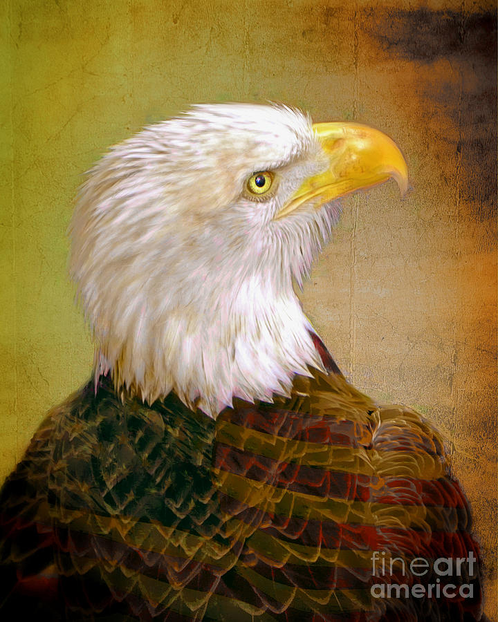 American Eagle #1 Photograph by Savannah Gibbs