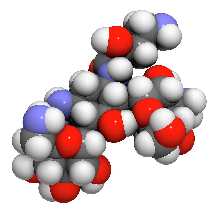 Amikacin Aminoglycoside Antibiotic #1 by Molekuul