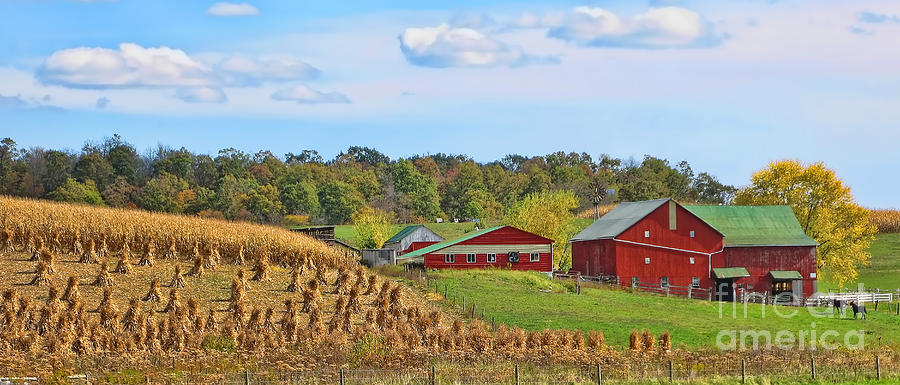 Amish Farm #1 Photograph by Jack Schultz