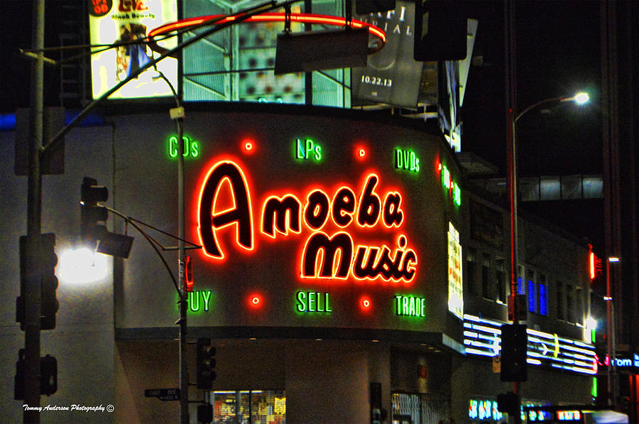 Amoeba Music 1 #1 Photograph by Tommy Anderson