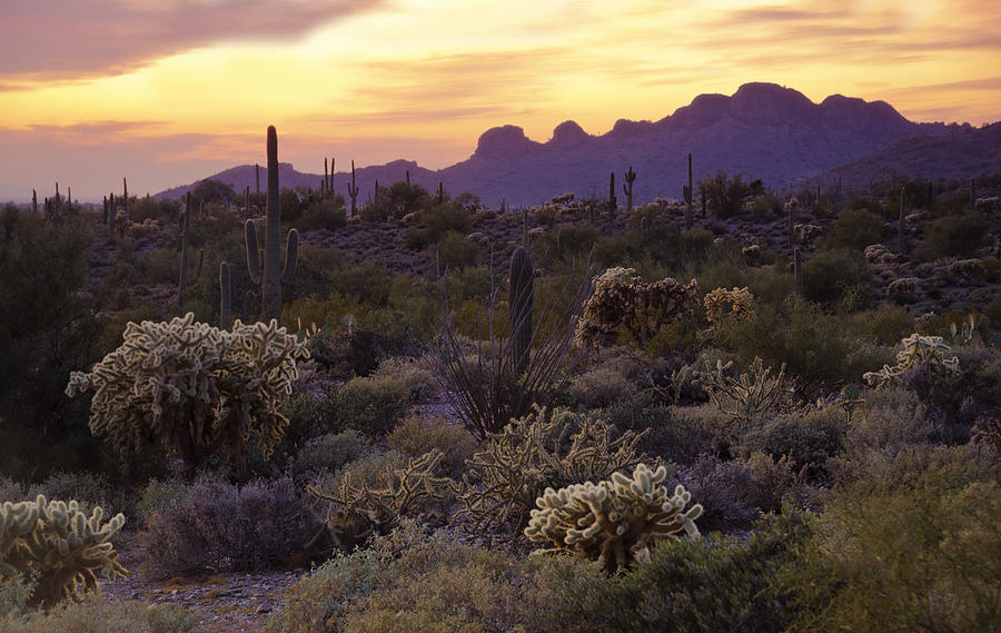 Sunset Photograph - An Evening in the Desert  #1 by Saija Lehtonen