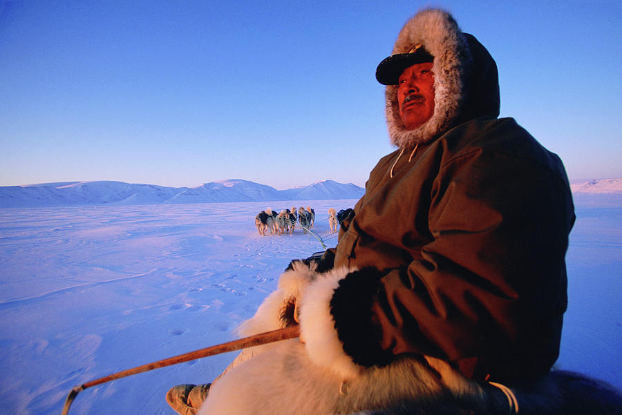 An Inuit Hunter Skillfully Guides Photograph by David McLain - Pixels