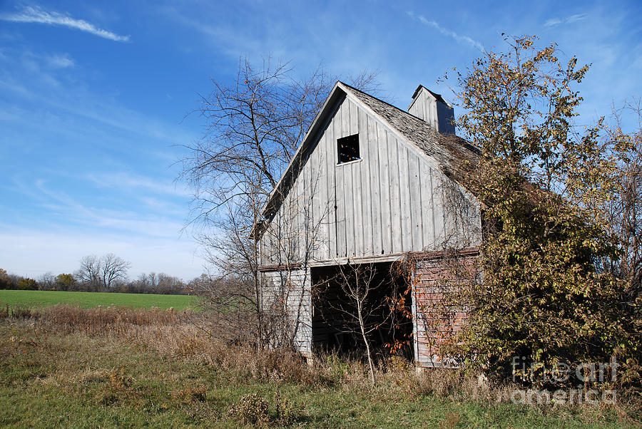 An old rundown abandoned wooden barn under a blue sky in midwestern Illinois USA #1 Photograph by Paul Velgos