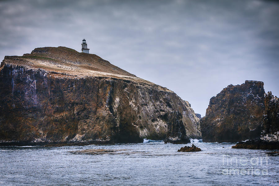 Channel Islands National Park Photograph - Anacapa Island Lighthouse by David Millenheft