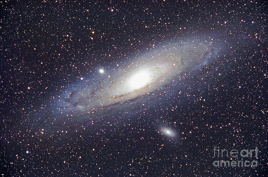 Andromeda Galaxy #1 Photograph by Chris Cook