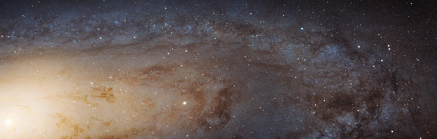 Andromeda Galaxy M31 #1 Photograph by Science Source