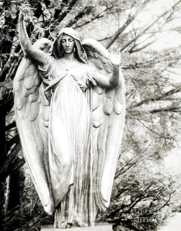 Black And White Photograph - Angel in the Trees #1 by Sonja Quintero
