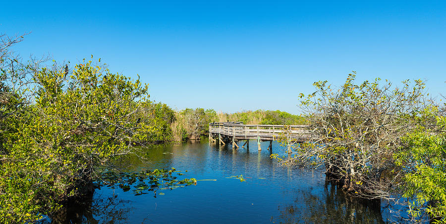 Everglades National Park Photograph - Anhinga Trail Boardwalk, Everglades #1 by Panoramic Images