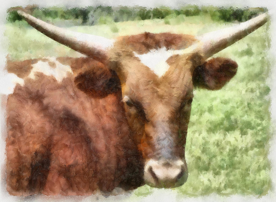 animals - cows - Longhorn View  Painting by Ann Powell