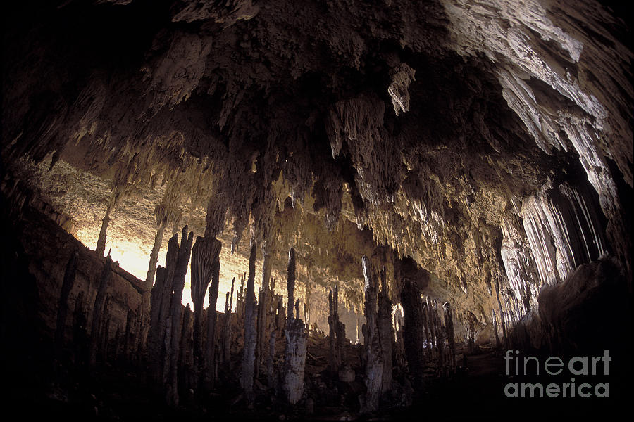 Anjohibe Cave, Madagascar #1 Photograph by Greg Dimijian