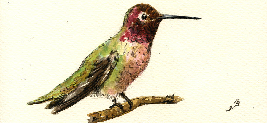 Hummingbird Painting - Anna s hummingbird #1 by Juan  Bosco
