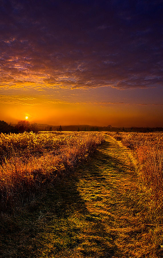 Another way Photograph by Phil Koch - Fine Art America