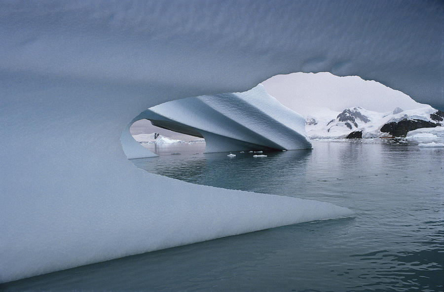 Antarctic Iceberg #1 Photograph by Robert Hernandez