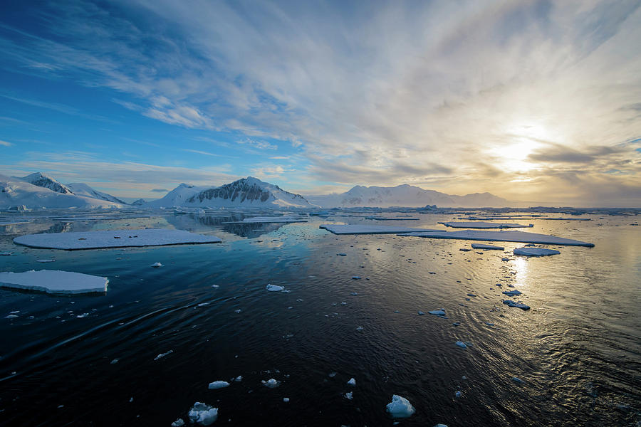 Antarctica Near Adelaide Island Photograph By Inger Hogstrom - Fine Art 