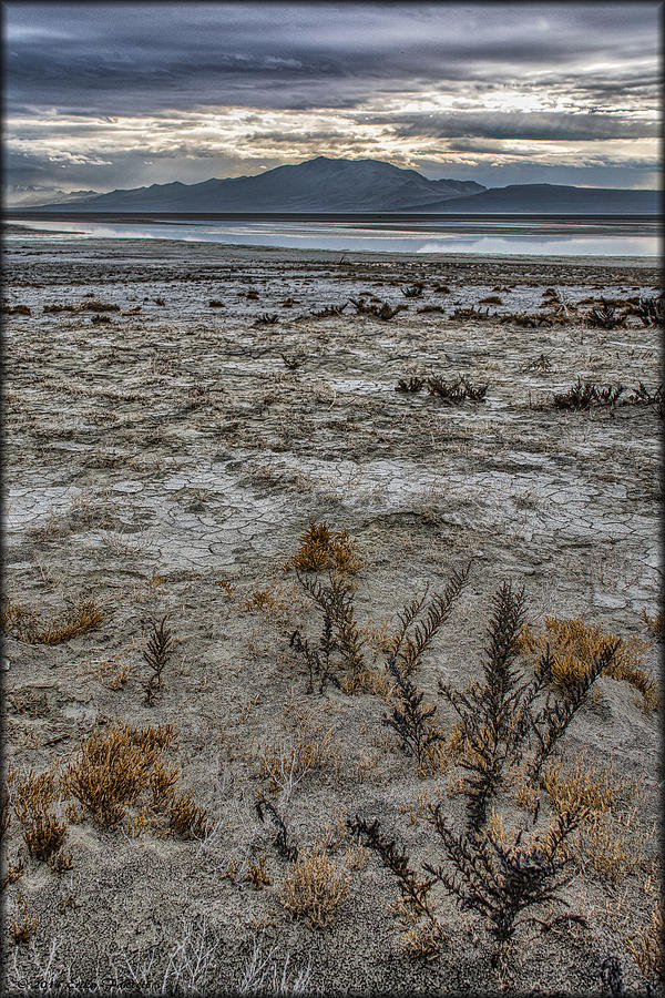 Antelope Island #1 Photograph by Erika Fawcett