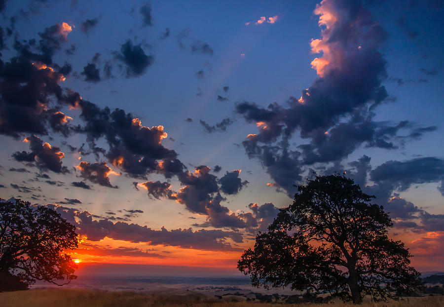 Antioch Sunrise #1 Photograph by Marc Crumpler
