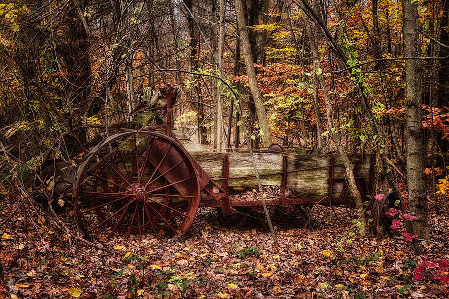 Antique Manure Spreader In The Forest. Photograph by Jeff Sinon