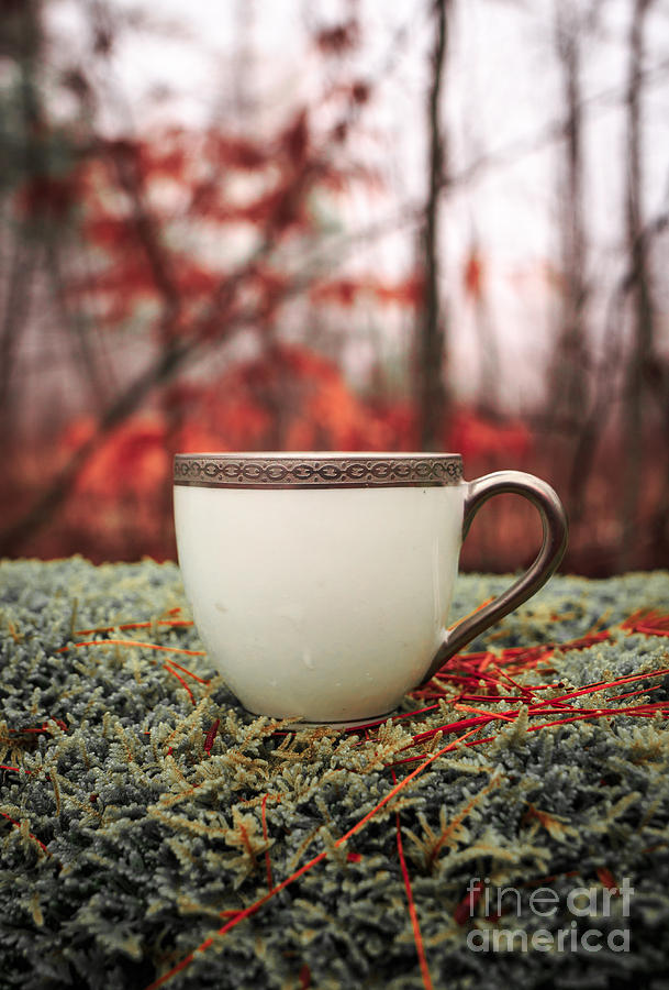 Antique teacup in the woods #1 Photograph by Edward Fielding