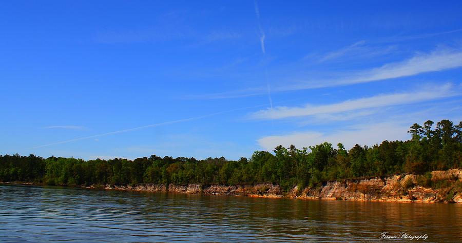 Apalachicola River #3 Photograph by Debra Forand