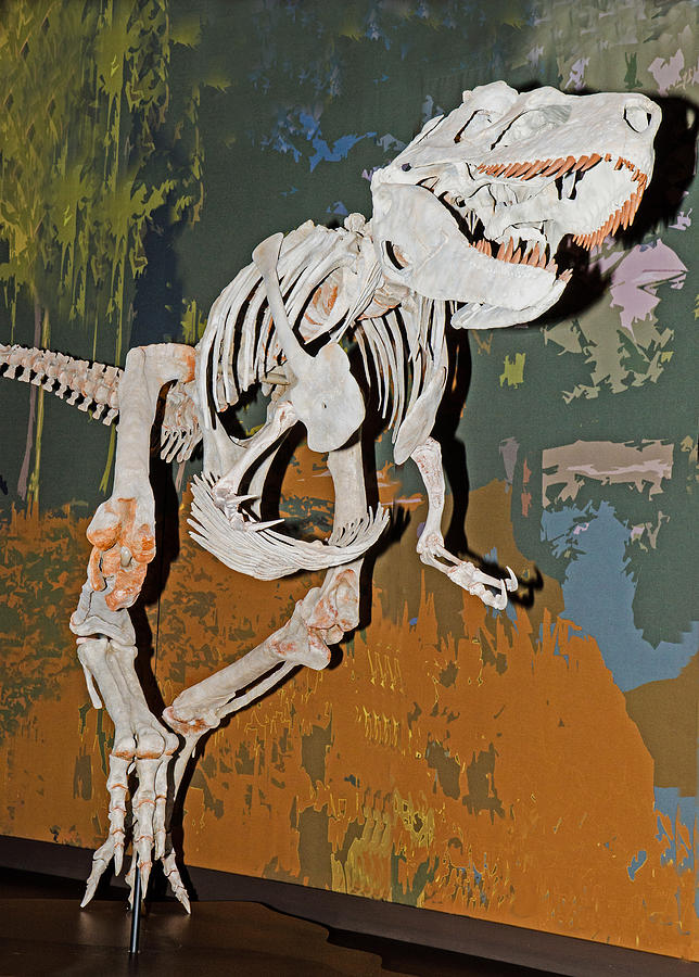 Appalachiosaurus #1 Photograph by Millard H. Sharp
