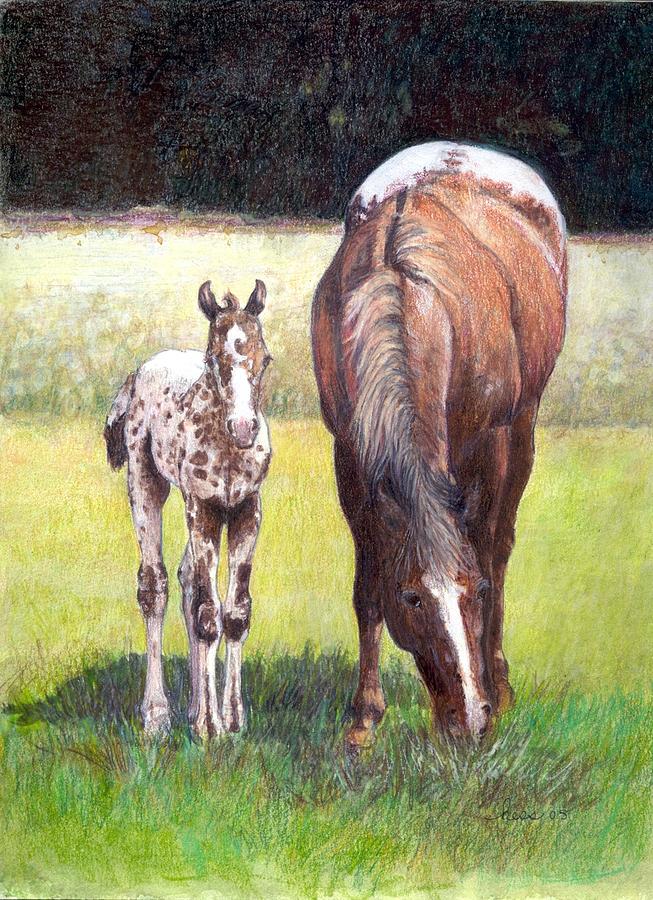 Appaloosa Mare And Foal #1 Drawing by Olde Time  Mercantile