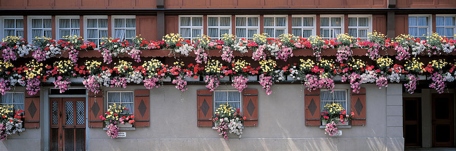 Flower Photograph - Appenzell Switzerland #1 by Panoramic Images