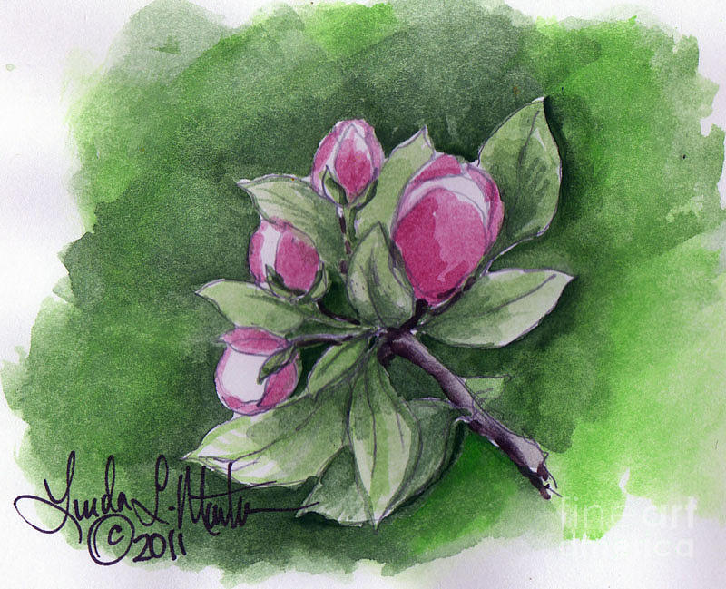 Apple Blossoms #1 Painting by Linda L Martin
