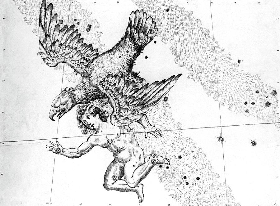 Eagle Photograph - Aquila Constellation #1 by Royal Astronomical Society/science Photo Library