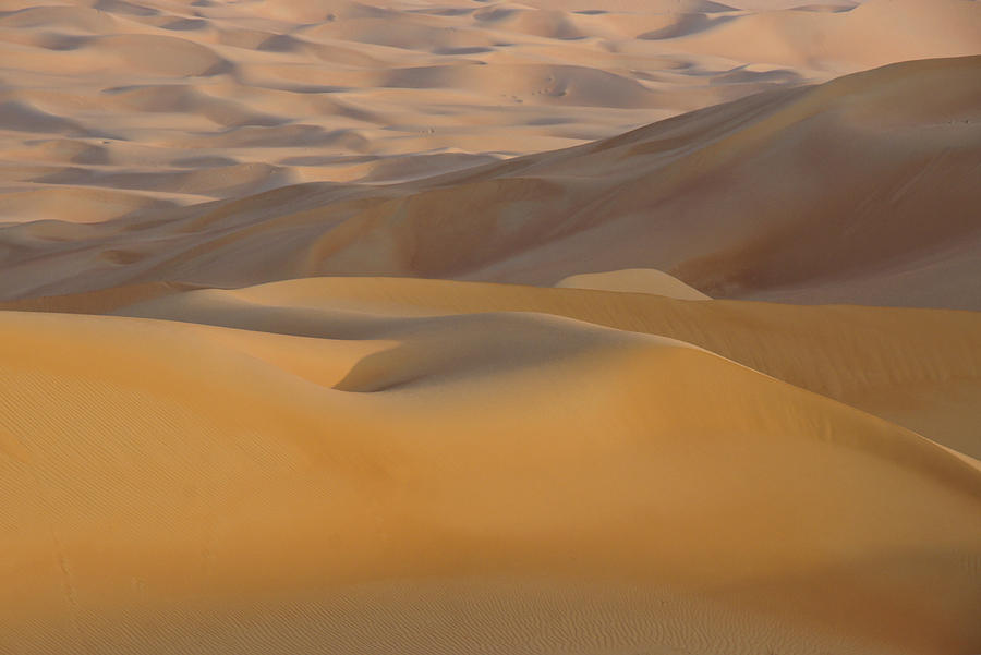 Arabian Sands #1 Photograph by Michele Burgess