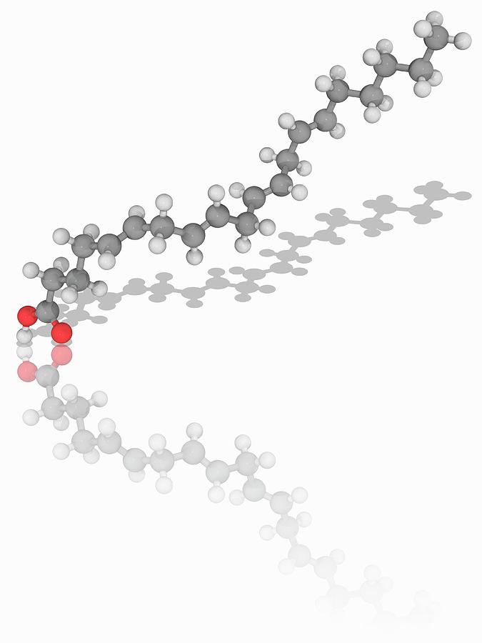 Arachidonic Acid Organic Compound Molecule Photograph By Laguna Design