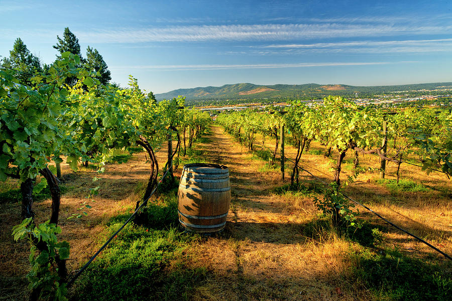 Arbor Crest Wine Cellars In Spokane Photograph by Richard Duval