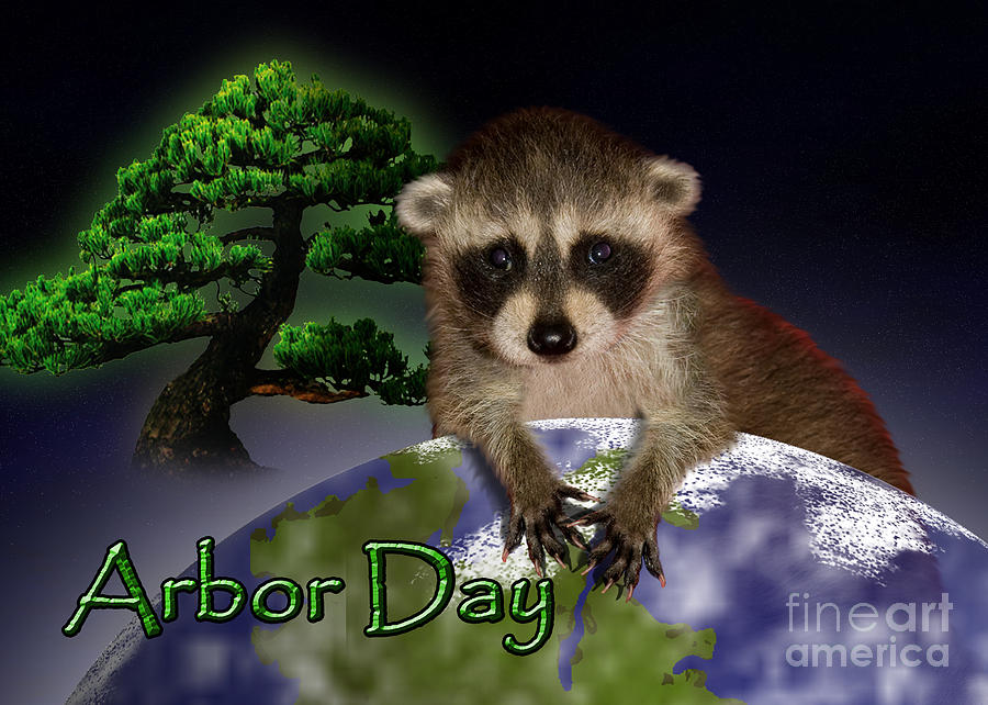 Nature Photograph - Arbor Day Raccoon #1 by Jeanette K
