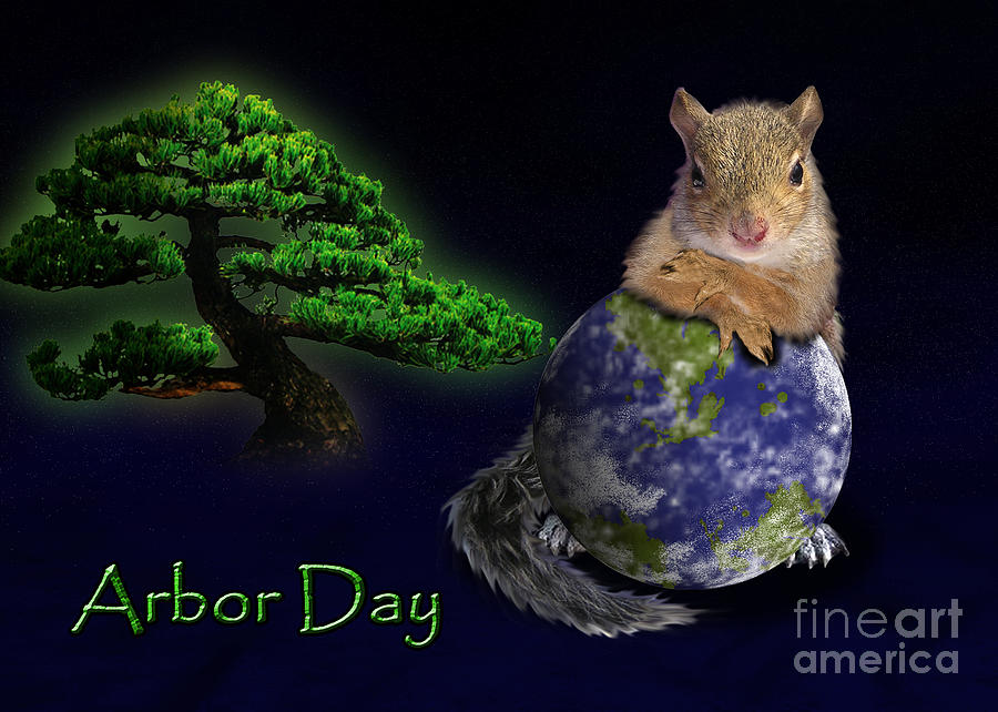 Nature Photograph - Arbor Day Squirrel #1 by Jeanette K