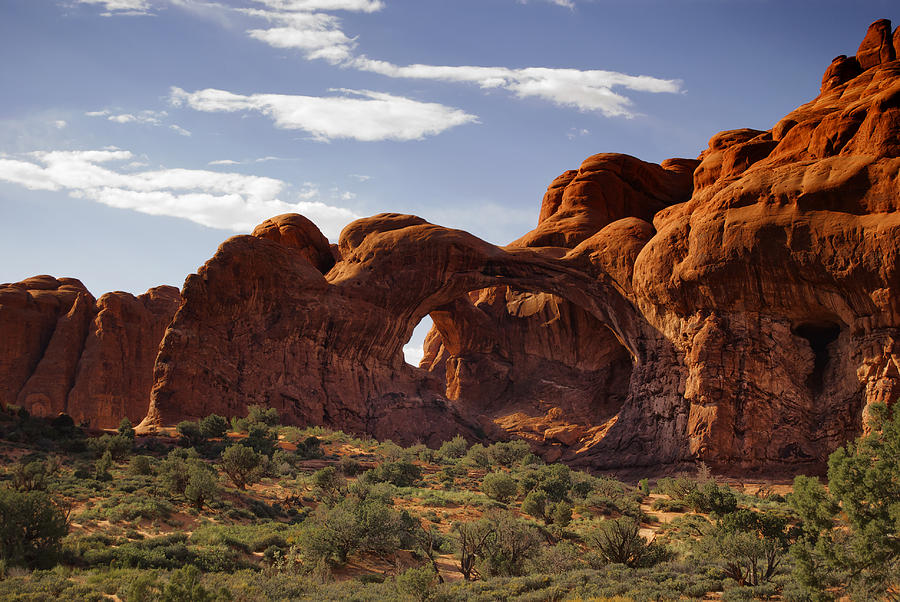 Arches National Park #3 Photograph by Sandra Selle Rodriguez
