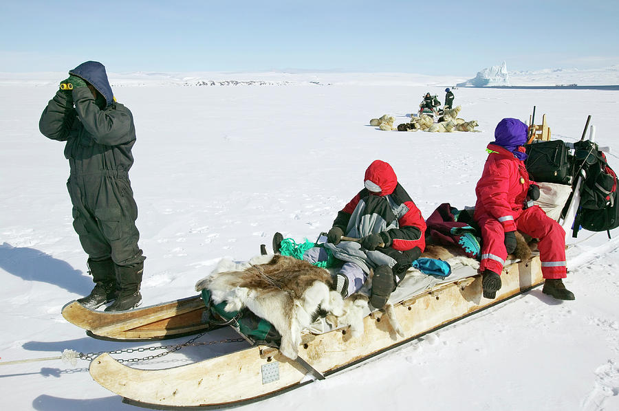 Arctic Hunting Photograph by Peter Menzel/science Photo Library Pixels