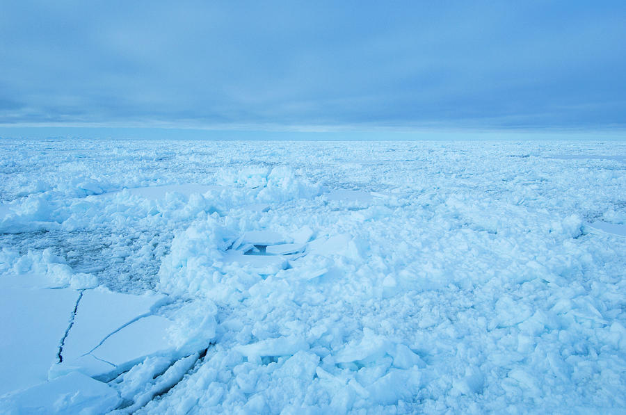 Arctic Landscape Photograph by Louise Murray/science Photo Library - Pixels